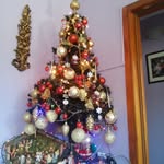 Carmelo Acevedo - @carmelo.9034 - Instagram