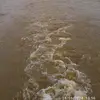 carmelo Acosta - @carmelo.acosta31 - TikTok