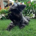 Carmelo Acosta Reales - @carmeloacostareales - Instagram