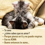 carmeloagosto41@gmail.com - @carmeloagosto1209 - Instagram
