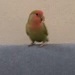 Elisa .Carmelo_ alampi - @elisa.carmelo_alampi - Instagram