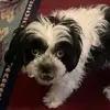 Carmelo Alejandro - @carmelo.alejandro7 - TikTok