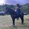 carmeloalicea - @carmelo.alicea6 - TikTok