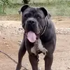 Carmelo Aloi561 - @carmeloaloi561 - TikTok