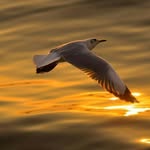Carmelo Aloi - @melo_milan - Instagram