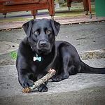 Carmelo Alonso - @carmeloalonso62 - Instagram