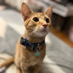 Carmelo Andres - @melo.elmasviral - Instagram