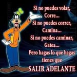 Carmelo Andres - @carmelo.andres.927 - Instagram