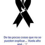 Carmelo Arce - @carmelo.arce.144 - Instagram