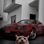 carmelo bareiro arce - @carmelobareiroarce - Instagram
