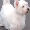 Carmelo Fleitas - @carmelofleitasarmas - TikTok