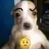 Carmelo arocho - @silvrzurfer - TikTok