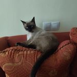 Luis Carmelo Arroyo Paniagua - @luiscar887 - Instagram