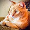Carmelo O. Aviles - @carmeloo.aviles - TikTok