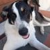 Carmelo Barbera - Facebook