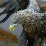 Carmelo Barrera - @carmelo.barrera.5439 - Instagram