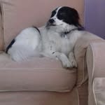 Carmelo Bazzano - @carmelobazzano51 - Instagram