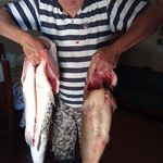 Carmelo Benitez - @carmelo.benitez.338 - Instagram
