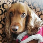 Giuseppe Lelio Carmelo Bianchi Martinez - @giuseppeleliocarmelo - Instagram