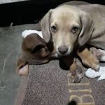 Carmelo Centeno Bonilla - @carmelocentenobonilla - Instagram