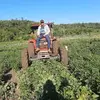 carmelo cabrera - @carmelocabrera493 - TikTok