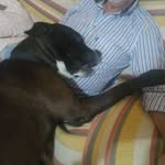 Carmelo Calabrese - @calabresecarmelo74 - Instagram