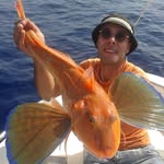 Carmelo Calabrese - @carmelo.calabrese.52 - Instagram