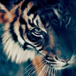 CARMELO CAMPO - @campo9306 - Instagram