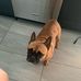 Carmelo Carella - Facebook