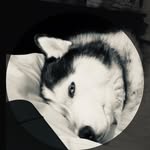 @carmelocarter - Instagram
