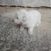Carmelo Giusy Cataudella - Facebook