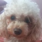 Carmelo Centeno - @meloy31 - Instagram