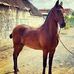 Carmelo Chavez - Facebook