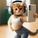 Carmelo Stacy Chavez - @carmelo.chavez.2222 - Instagram
