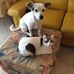 Carmelo-Franca Cicala - Facebook
