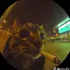 Cmelo - @carmelodominguez5 - TikTok