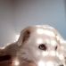 Carmelo Macaluso - Facebook