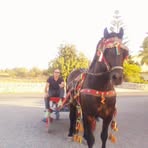 Carmelo Magro - Facebook