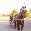 Carmelo Magro - @carmelo.magro2 - TikTok