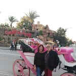 Dina Carmelo Marotta - @dinamarotta - Instagram