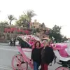 Dina Carmelo Marotta - @dinacarmelomarotta - TikTok
