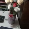 Carmelo Mejia - @carmelomejia675 - TikTok