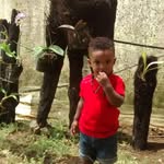 Carmelo Mejia Marte - @carmelomejiamarte - Instagram