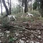 Carmelo Mula - @mulacarmelo - Instagram