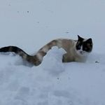 Carmelo Perrone - @carmelo.perrone.127 - Instagram