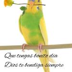 Luis Polanco - @luiscarmelopolanco - Instagram