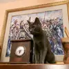 CARMELO Privitera - @carmeloprivitera62 - TikTok