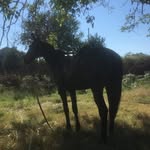 Carmelo Raffa - @raffa_carmelo_10 - Instagram