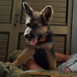 Carmelo Raffa - @_raffa_carmelo_ - Instagram