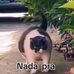 Carmelo Reyes - Facebook